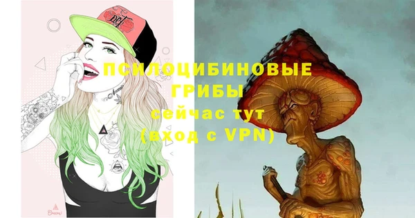 стаф Заволжск