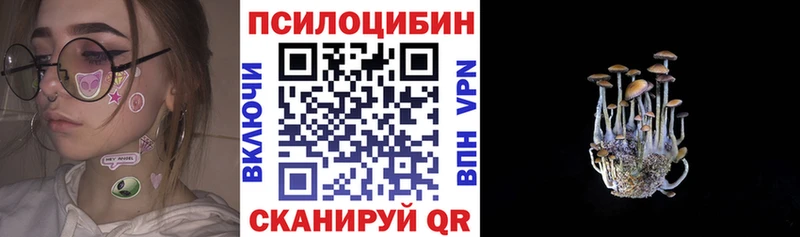 Галлюциногенные грибы Psilocybe  Кизляр 